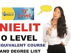 Nielit O Lvel Course in Lucknow